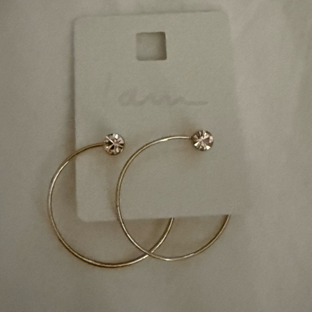 Elegant Gold Hoop Earrings